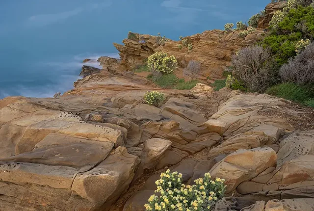 Etruscan coast, tuscany, italy
