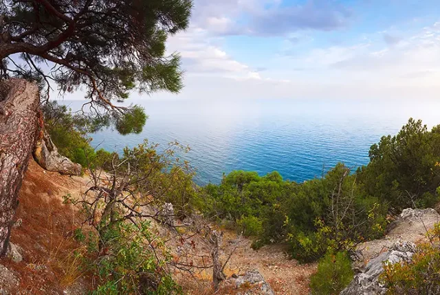Evening Landscape With The Sea In Crimea