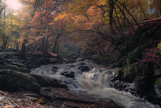 Fall's Rushing Veil, Aberfeldy, Scotland