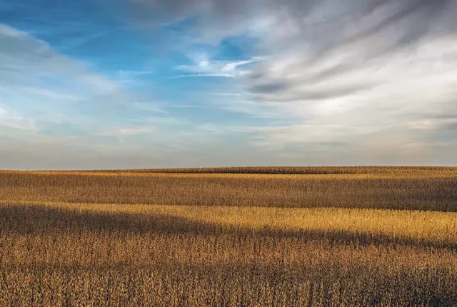Field And Sky, Galesburg, Illinois, USA