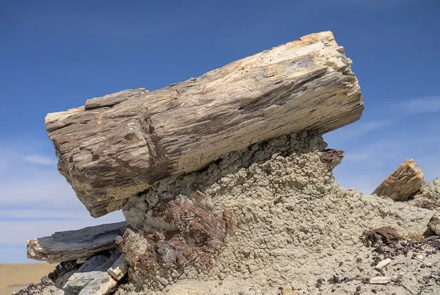 Final Resting Place, Ah Shi Sle Pah Wilderness, New Mexico, USA