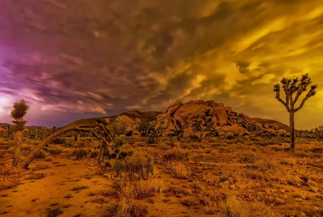 Fire In The Sky, Joshua Tree National Park, San Bernardino County, USA
