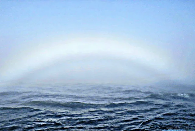 Fogbow, inside passage, alaska, usa