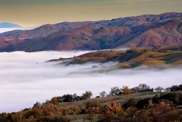 Foggy Fall Morning, San Jose, Santa Clara, California, USA