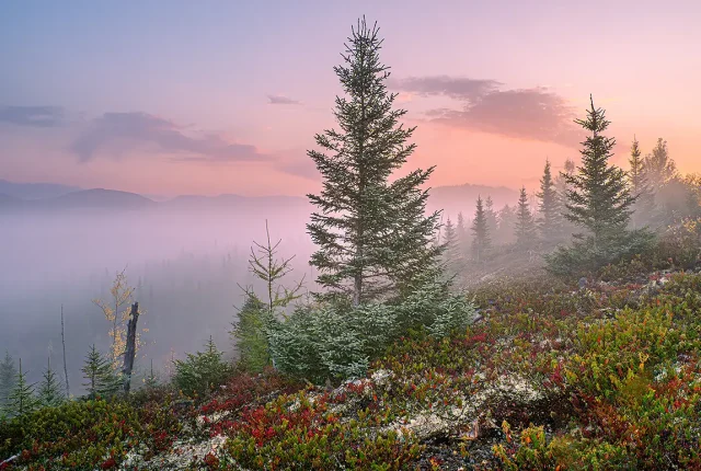 Foggy la galette, charlevoix, quebec, canada