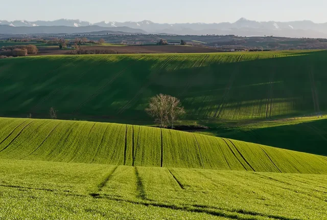 Following The Furrows, Montesqieu Volvestre, Occitanie, France