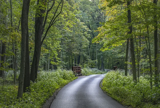 Forest Of Arden, Joliet, Illinois, USA