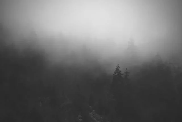 Form and void, great smokey mountains, nc:tennessee border, usa
