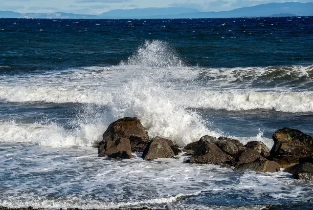 Frothy Indigo, French Creek, Vancouver Island, British Columbia, Canada