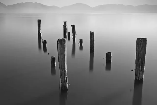 Geometry Of Silence, Lake Massaciuccoli, Massarosa, Italy