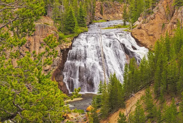 Gibbin falls, yellowstone national park, wyoming, usa