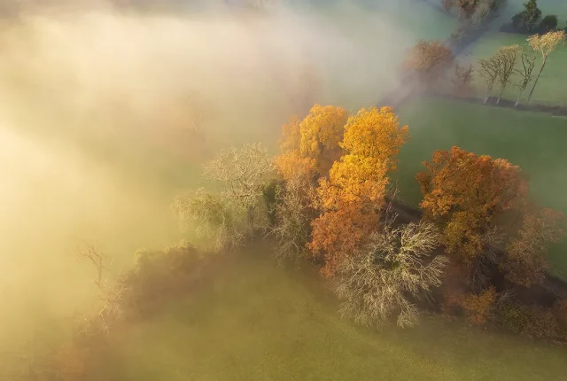 Golden Afternoon, Llanrwst, Wales
