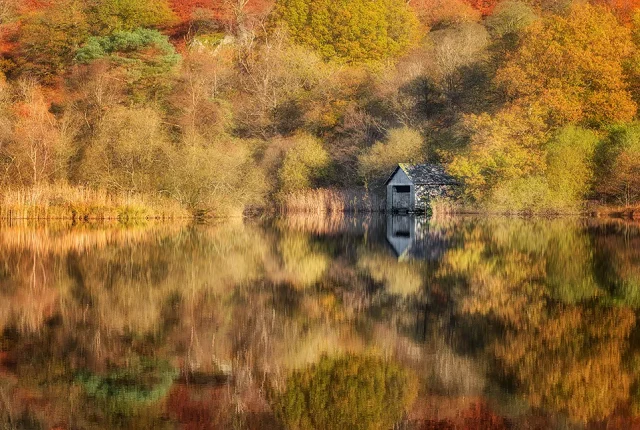 Golden Autumn, Rydal Water, Lake District, Cumbria, England