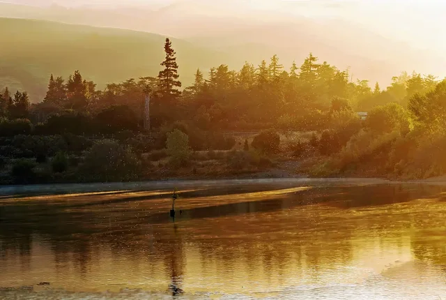 Golden Hour, Fremont, California, USA