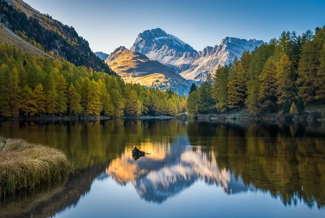 Golden Mirror, Palpuognasee, Engadin, Switzerland