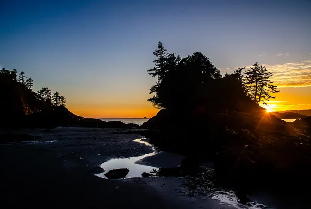 Golden Note And Silhouettes, Tinwis Beach, Vancouver Island, British Columbia, Canada