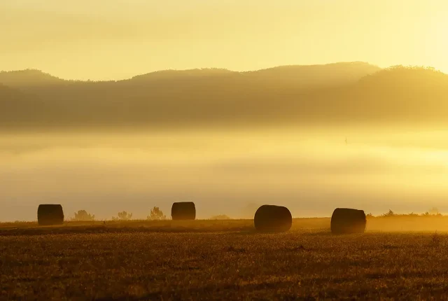 Golden Sunrise, Milfontes, Alentejo, Portugal