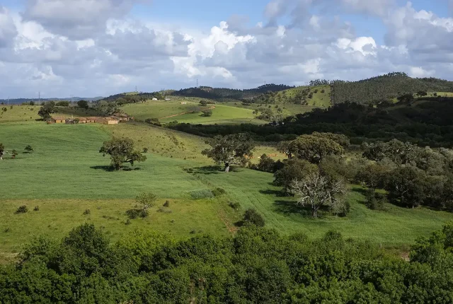 Green Hills, Odemira, Alentejo, Portugal