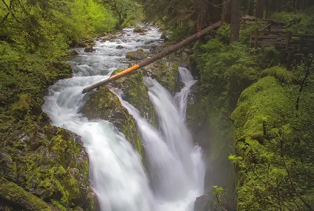 Hanging on the edge, olympic national park, washington, usa