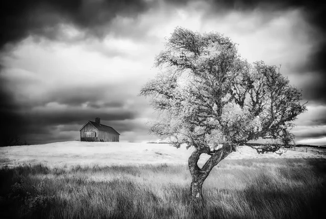 House on the hill, shinness, sutherland, scotland