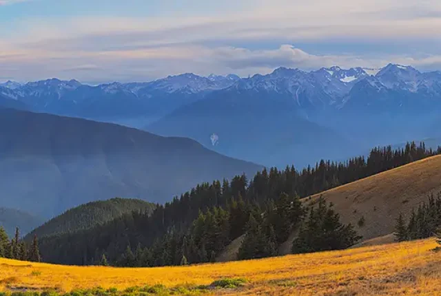Hurricane Ridge Sunset, Olympic National Park, Washington, USA Hurricane ridge sunset, olympic national park, washington, usa