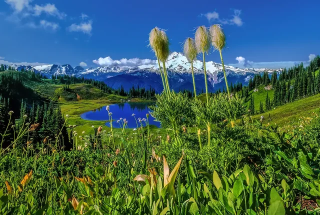 Image Lake Basin, Glacier Peak Wilderness, Washington, USA