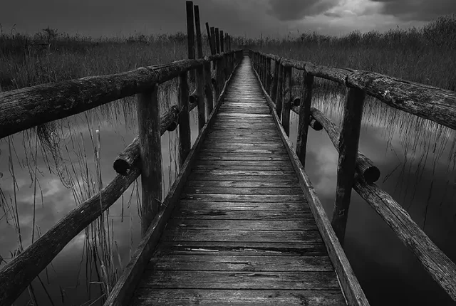Into The Unknown, Lake Massaciuccoli, Massarosa, Tuscany, Italy