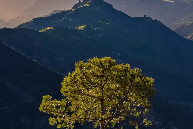 Island Convergence, Tejeda, Gran Canaria, Spain