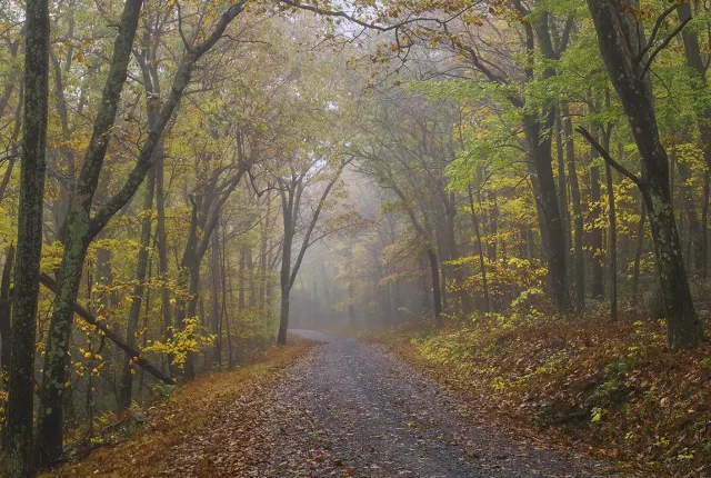 Kettle Road Autumn, Pennsylvania, USA