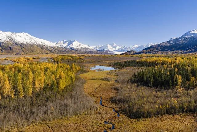 Knik Valley Fall, Butte, Alaska, USA