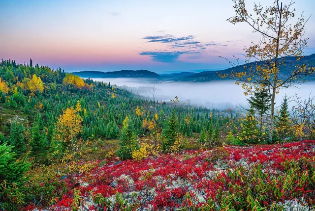 La galette morning fog, charlevoix, quebec, canada