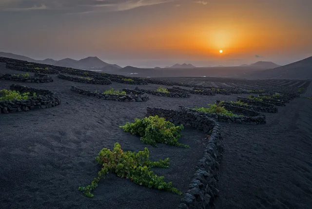La Geria Sunset, Lanzarote, Canary Islands, Spain