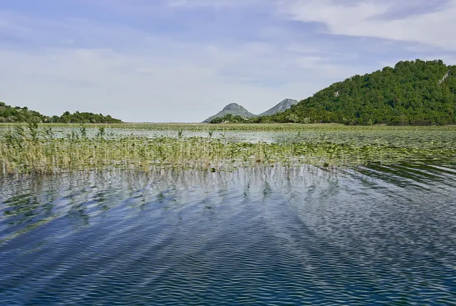 Lake Ripples, Lake Skadar, Montenegro