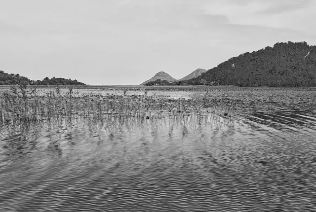 Lake Ripples Monochrome, Lake Skadar, Montenegro