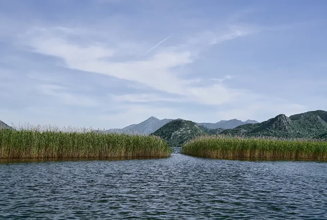 Lake Skadar Reeds, Montenegro
