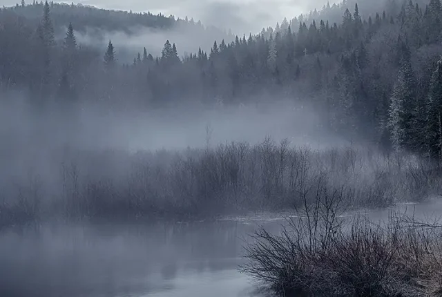 Laurentian spring mist, jacques cartier national park, quebec, canada