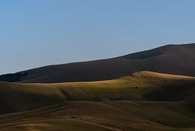 Lentil bloom, castelluccio di norcia, italy