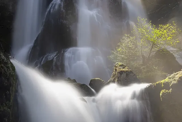 Light on the falls, gifford pinchot national forest, oregon, usa
