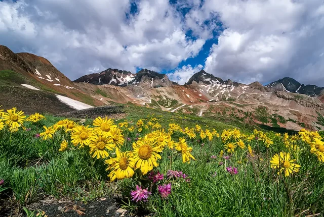Lizard head peaks, lizard head wilderness, san juan national forest, colorado, usa
