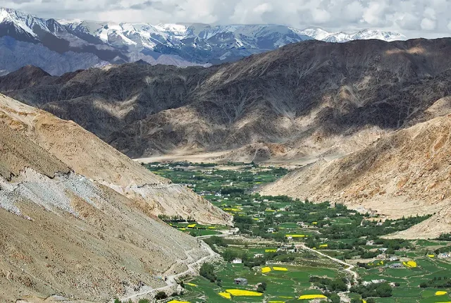 Lush Green Valley, Leh, Ladakh, India
