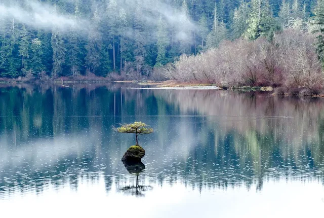 Magical Fairy Lake Bonsai, Vancouver Island, British Columbia, Canada
