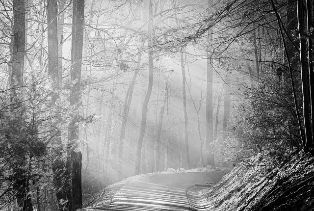Magnificent misty morning, lake lure, rutherford county, nc, usa