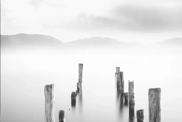 Massaciuccoli, Torre Del Lago, Viareggio, Lucca, Tuscany, Italy