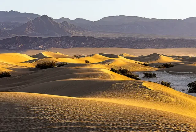 Mesquite Sand Dunes Sunrise, Death Valley National Park, California, USA