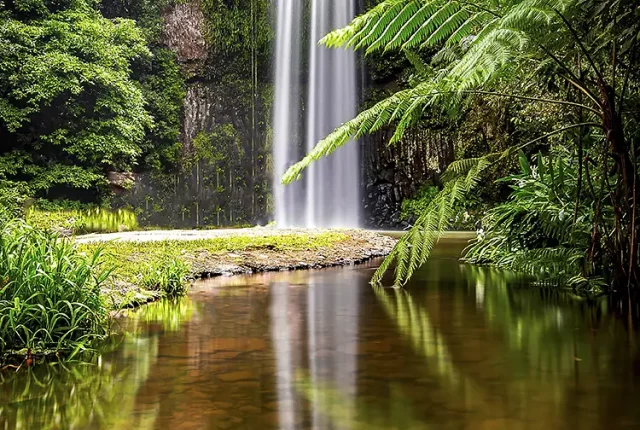 Millaa millaa falls, far north queensland, australia