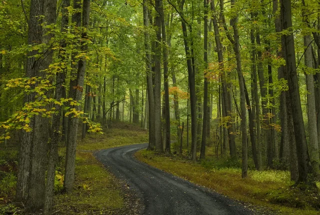 Milroy Autumn, Pennsylvania, USA