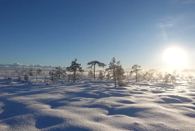 Mire landscape in the winter, valkmusa national park, pyhtaa, finland
