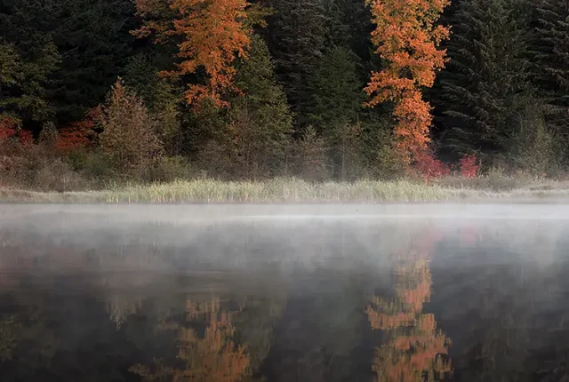 Misty Morning At Trillium Lake, Oregon, USA