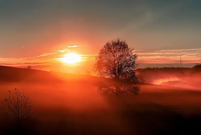 Misty morning sunrise, fayette county, pennsylvania, usa
