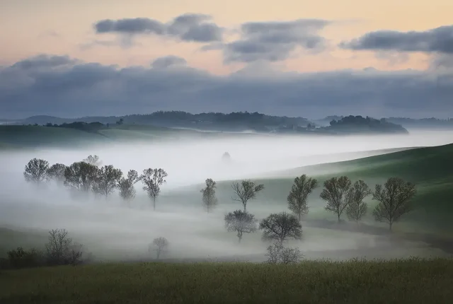 Misty orciano pisano, via delle mandriacce, italy